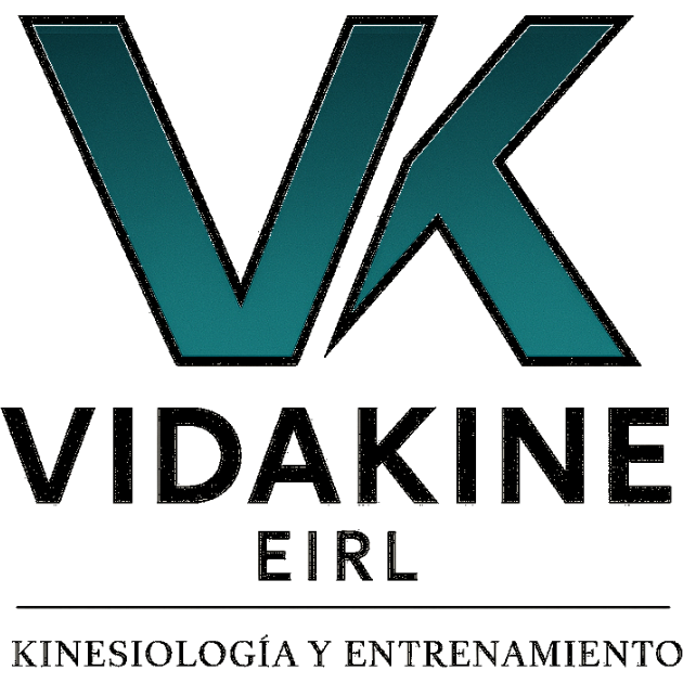 VK VIDAKINE